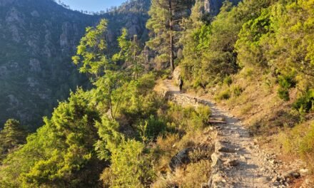 In the Glow of Dawn and the Fury of Rain: A day in Vallée du Tavignano