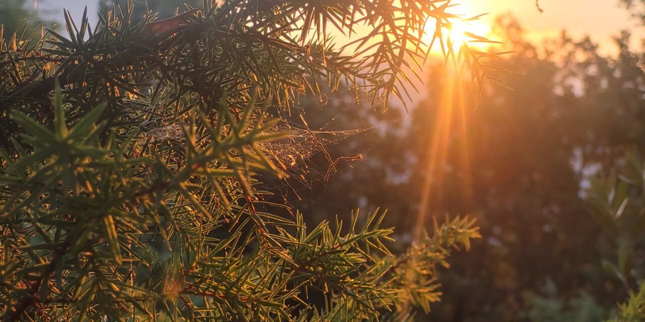 Chasing Sunrise and Peaks in Corte, Corsica