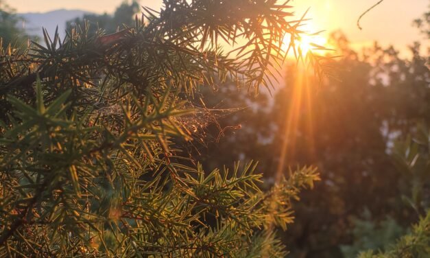 Chasing Sunrise and Peaks in Corte, Corsica