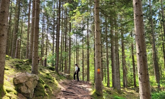 Our First Swedish Escape: Enchanting Reserves near Lake Bredaredssjön