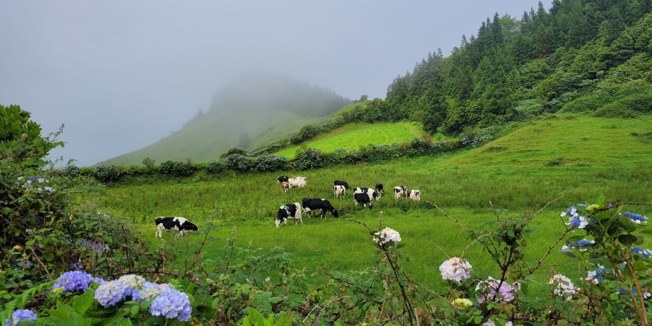 The Perfect 7-Day Itinerary on the Island of São Miguel, Azores