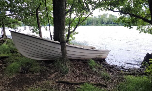 Everything You Need is in Höör: Lakes, Parks and Animals