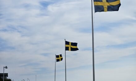 Top 5 Hiking Trails in South Sweden