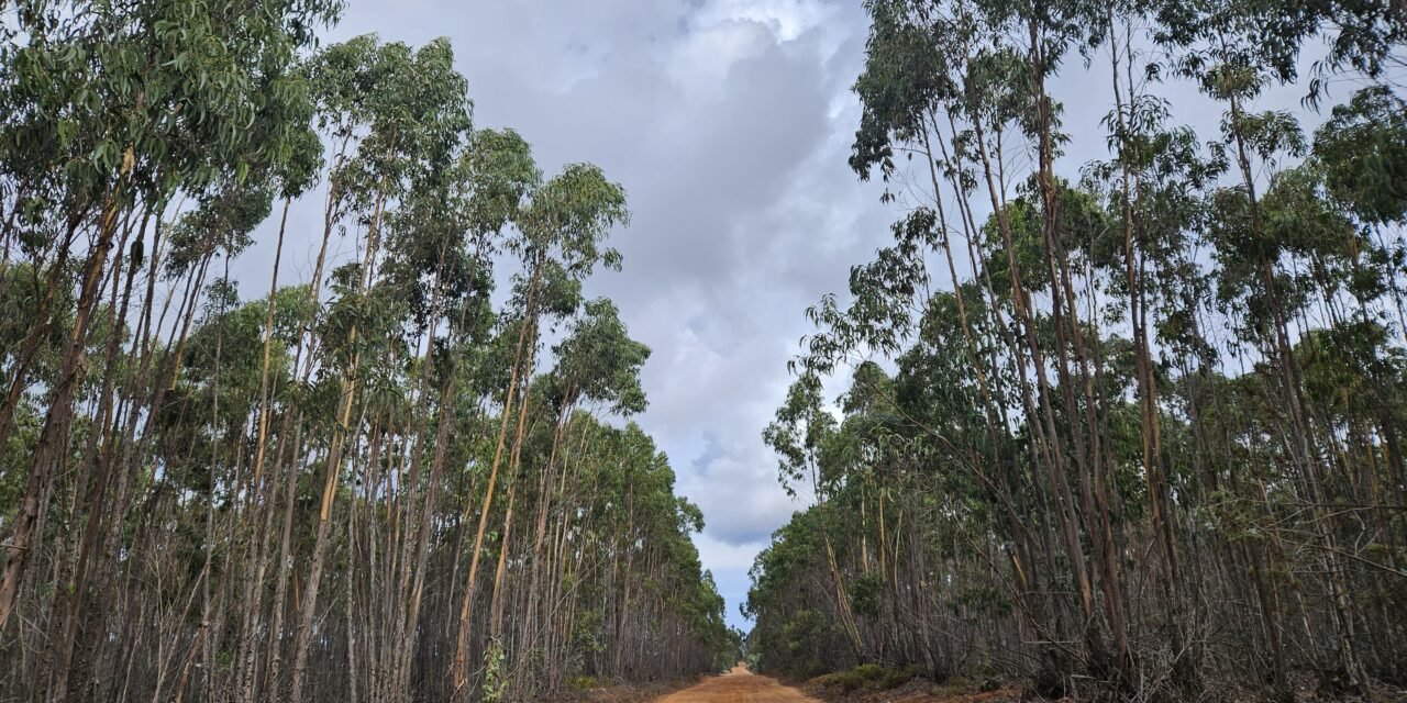 Day 7: Hiking the Fisherman’s Trail