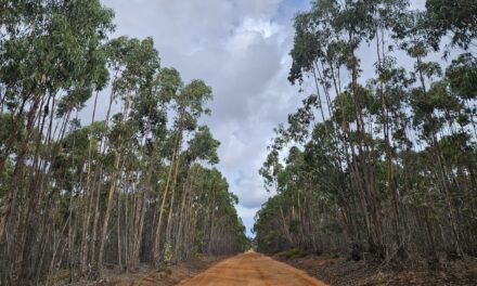 Day 7: Hiking the Fisherman’s Trail