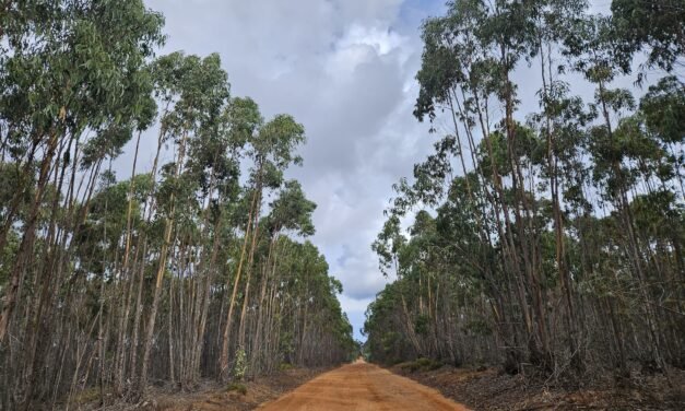 Day 7: Hiking the Fisherman’s Trail