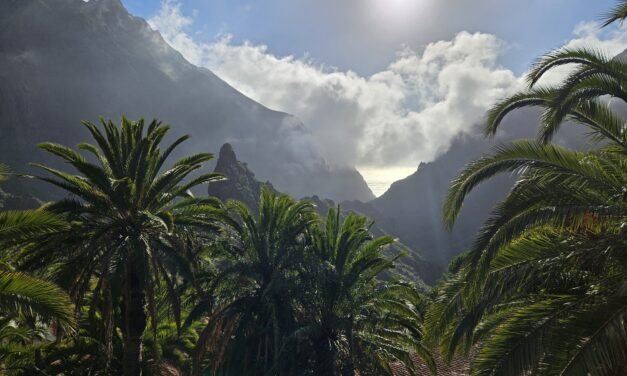 New Year, New Heights: Masca and Baracan Peak Adventure in Tenerife