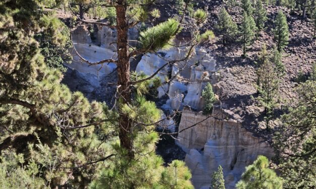 A Hike into Teide National Park’s Surreal Beauty: From Vilaflor to the Lunar Landscapes