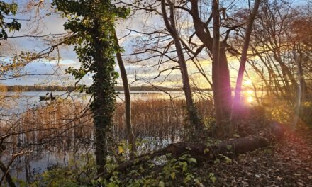 Best Hikes near Copenhagen: Maps, Guide & Tips