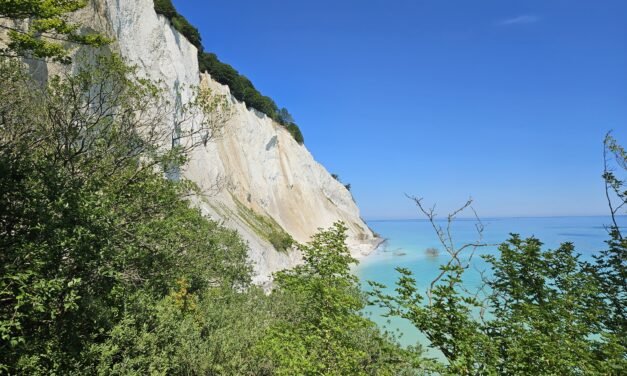 Hiking Møns Klint and Store Klintskov on the island of Møn