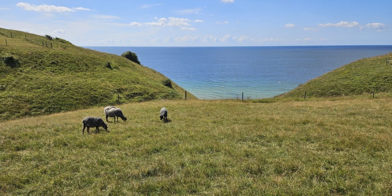 Hiking in Sweden on Skåneladen SL4, Stage 2: Hammar to Kåseberga