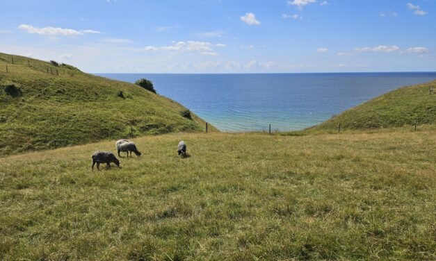 Hiking in Sweden on Skåneladen SL4, Stage 2: Hammar to Kåseberga